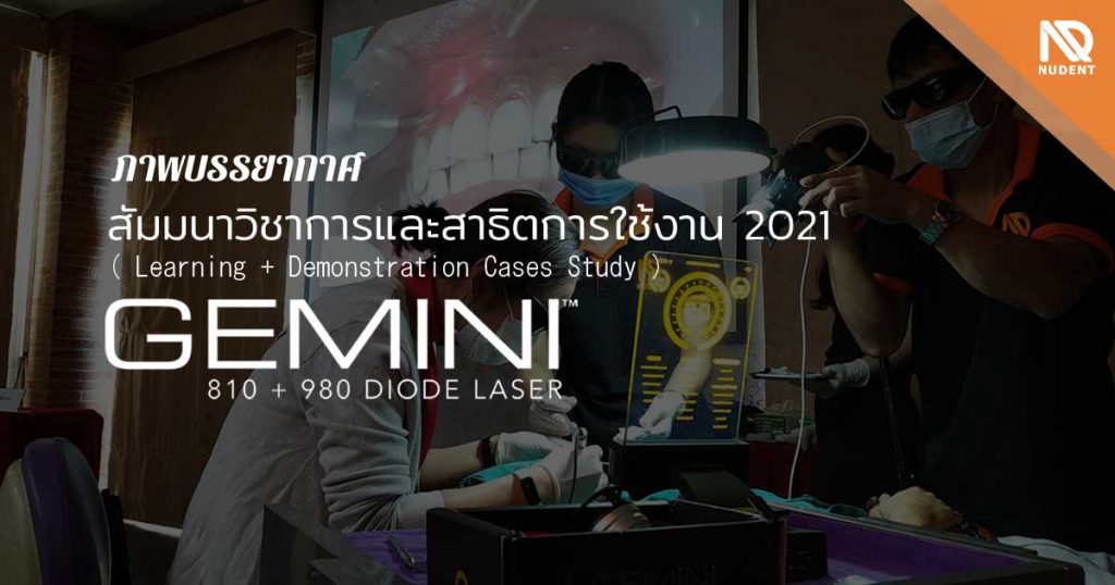 สัมมนา Gemini Laser 2021