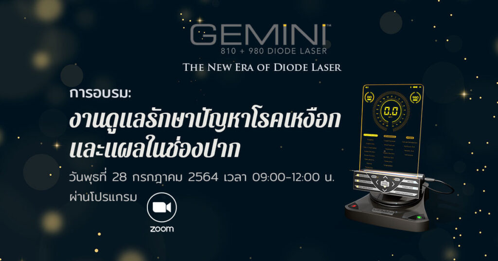 สัมมนา Gemini Laser