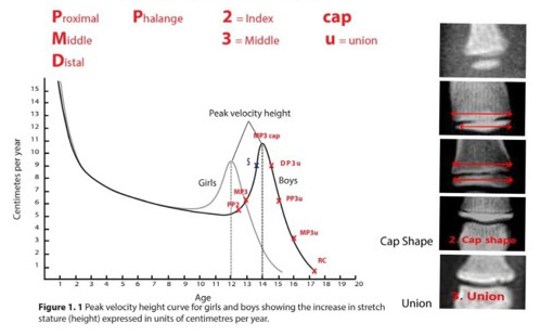 Growth-Modification-Curve
